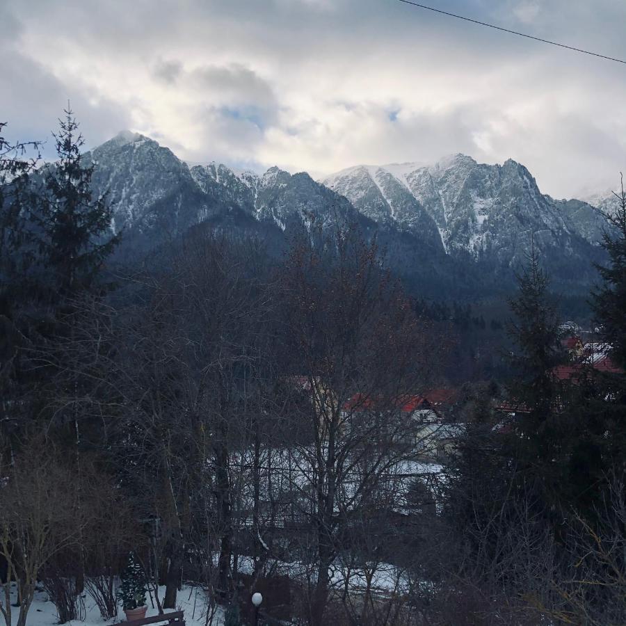 Bohemian Chalet Villa Buşteni Buitenkant foto