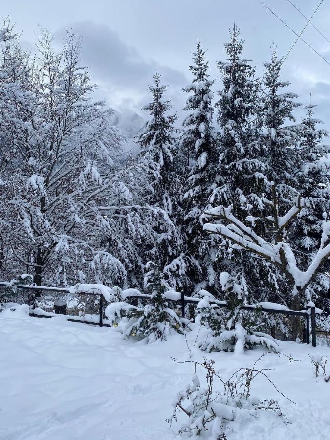 Bohemian Chalet Villa Buşteni Buitenkant foto