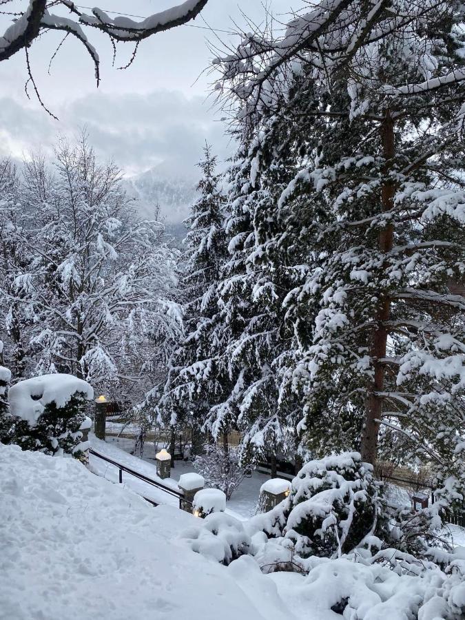 Bohemian Chalet Villa Buşteni Buitenkant foto