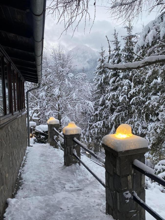 Bohemian Chalet Villa Buşteni Buitenkant foto