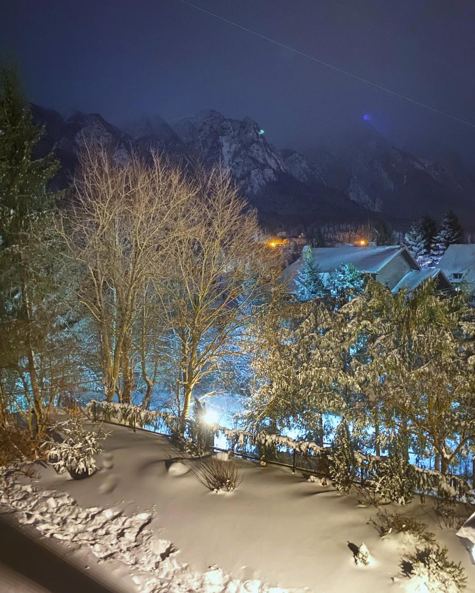 Bohemian Chalet Villa Buşteni Buitenkant foto